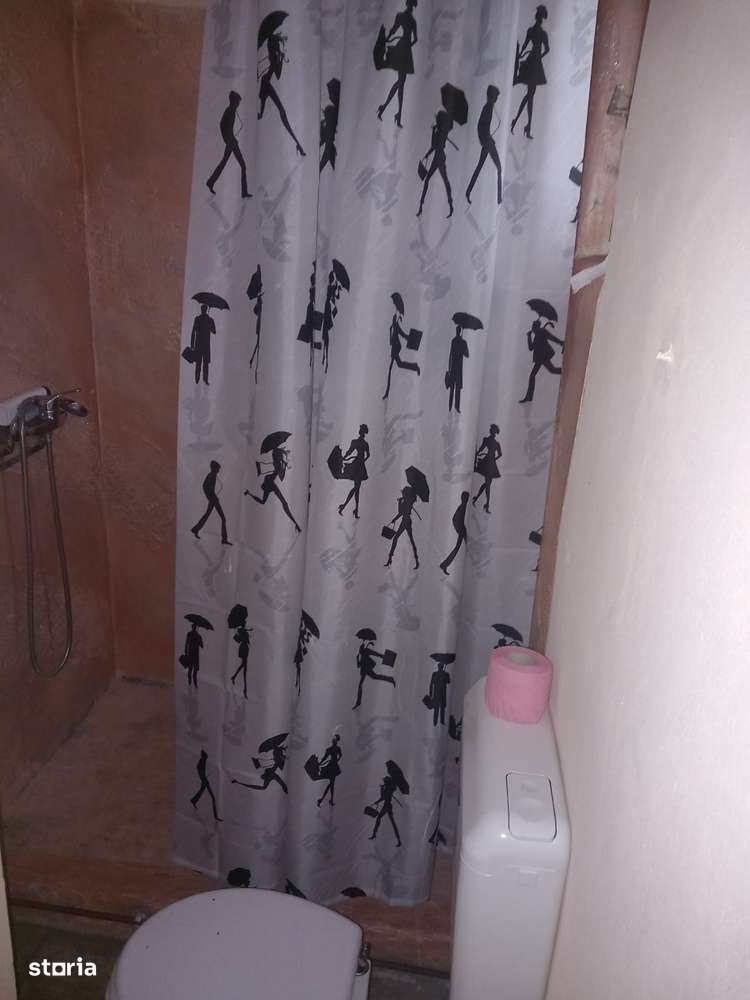 Casa de vanzare in Chisineu - Cris-19