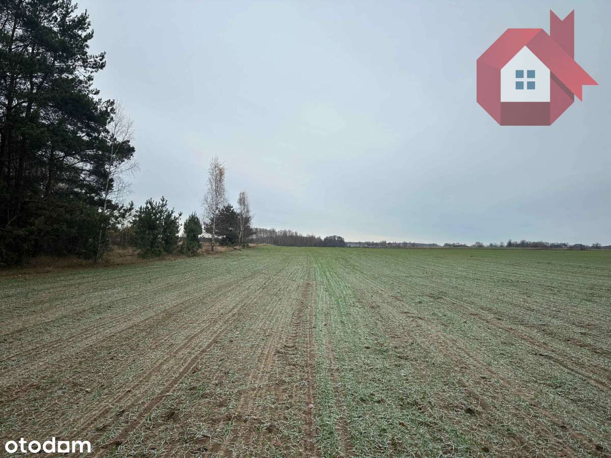 Zadrzewiona działka 2100 m² - 10 minut od Zegrza-7