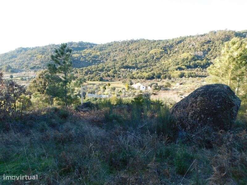 Terreno / Fundão, Pêro Viseu - Grande imagem: 5/11
