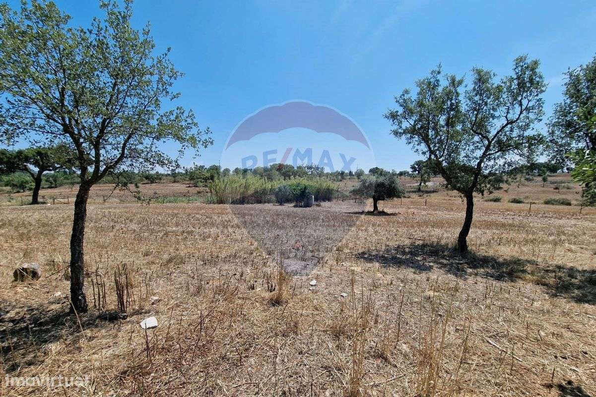 Terreno  para venda - Grande imagem: 5/6