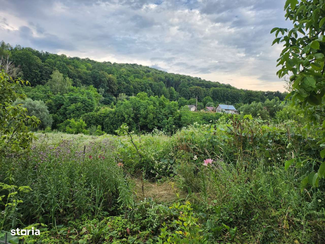Casa cu teren langa padure la Buhoci - Imagine principală: 4/12