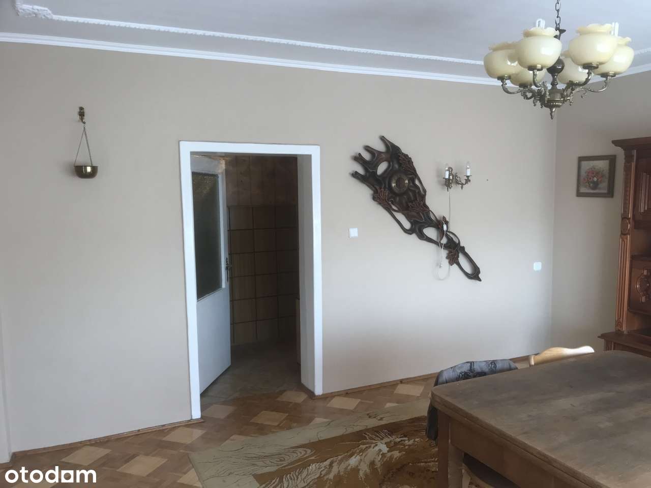 Mieszkanie 100m2 Parter ZATORZE okolice Akwawitu BEZ CZYNSZU - Pełny obrazek: 3/20