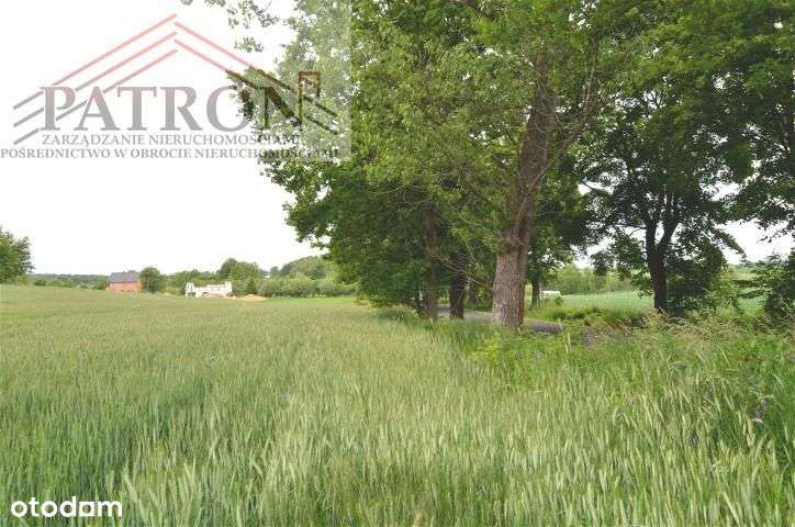 Działka budowlana w malowniczej wsi Włodzice Małe.-10