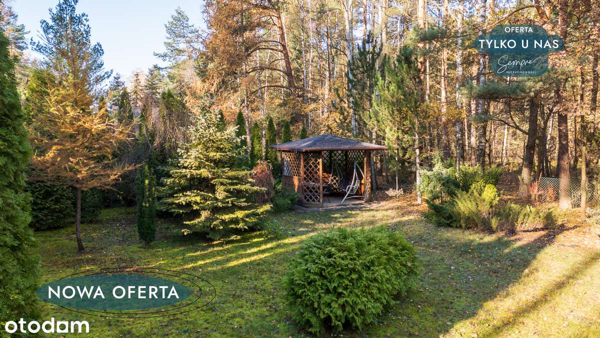 Wyjątkowa działka w sercu lasu - Pełny obrazek: 5/15