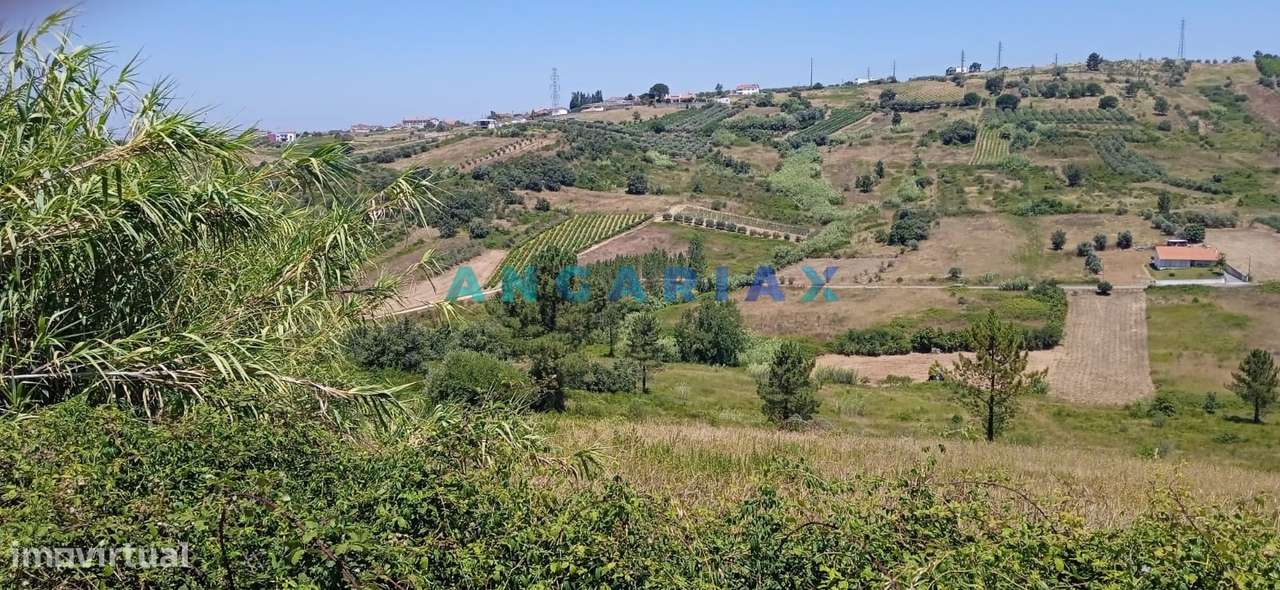 ANG1487 - Terreno para Venda em Batalha - Grande imagem: 4/4