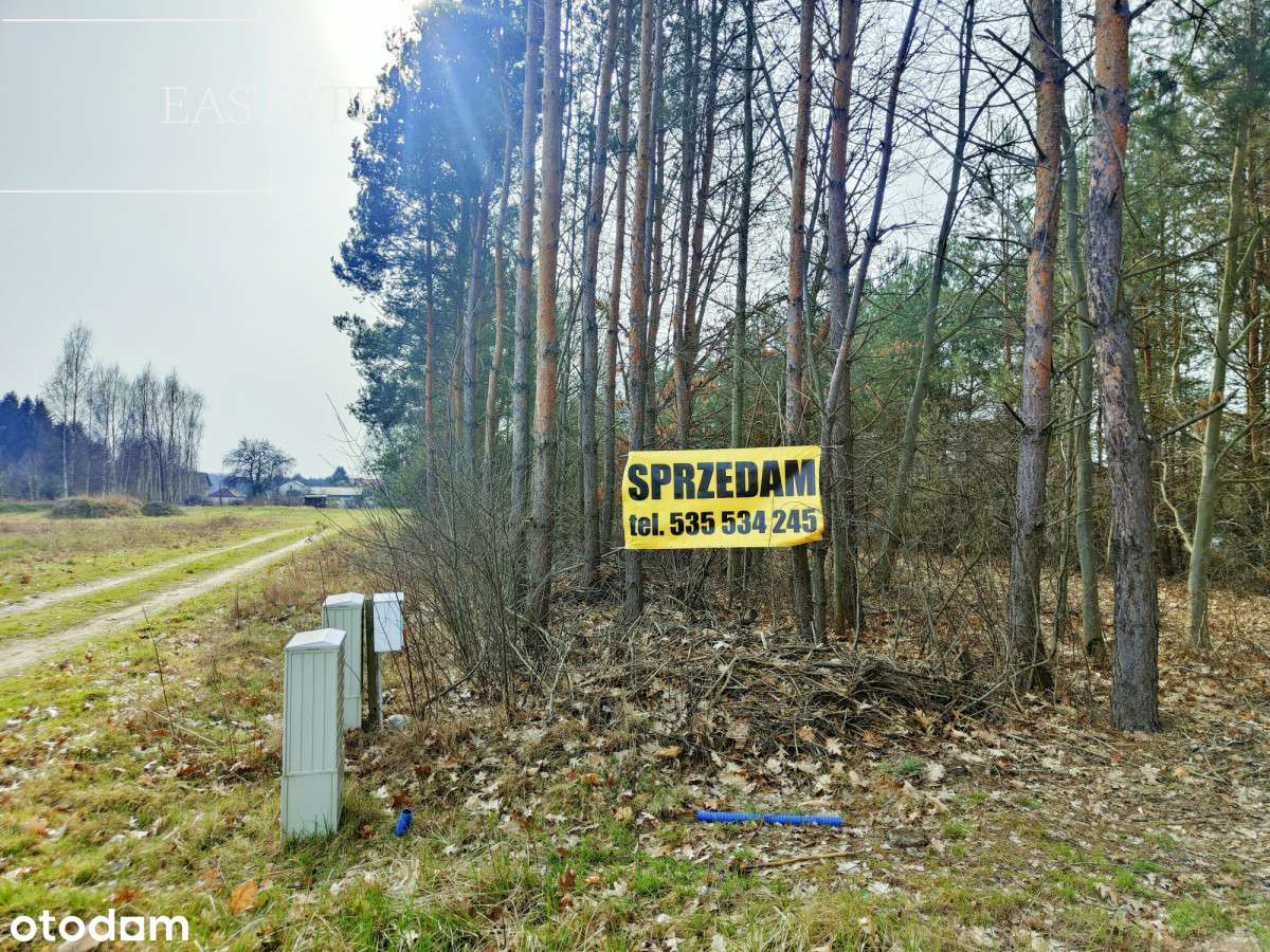 Działka Budowlana 31 x 42m/Zalesie Żabia Wola - S8 - Pełny obrazek: 4/9