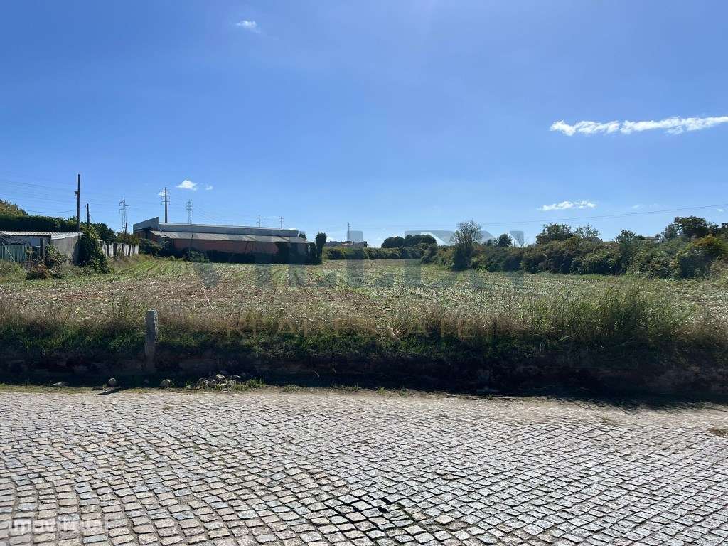 Terreno Agrícola - Maia - Grande imagem: 4/7
