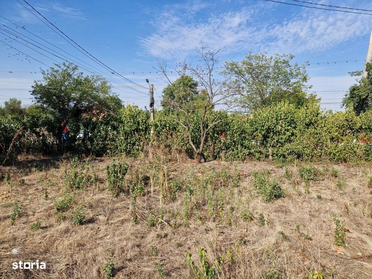 Naipu - Ghimpati, vanzare casa si teren 1000mp. - Imagine principală: 5/20