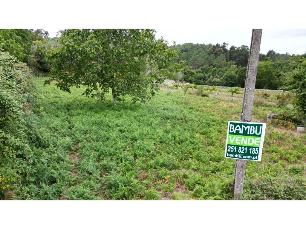 Terreno para venda em Gondomil - Grande imagem: 5/7