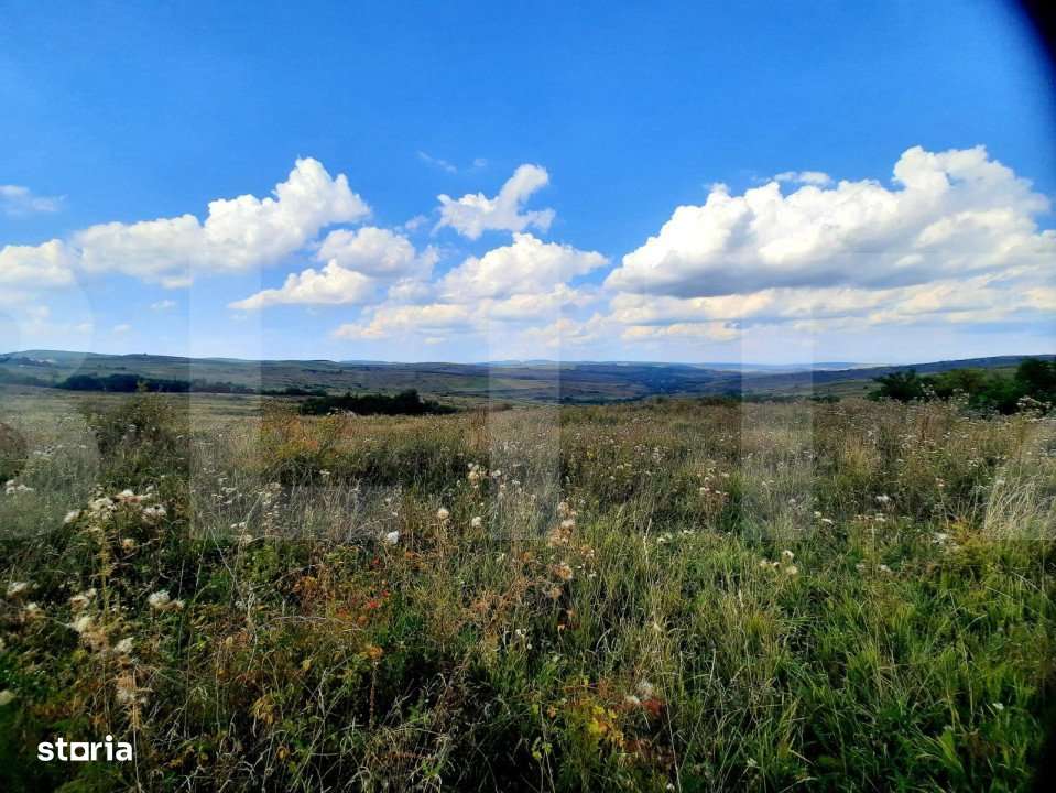 Teren intravilan de 5800 mp, situat in Padureni - Imagine principală: 2/6