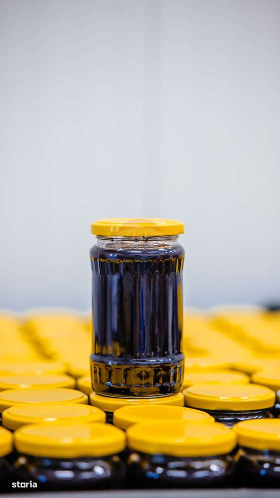 Plantatie de afine la cele mai inalte standarde, de vanzare! - Imagine principală: 5/12