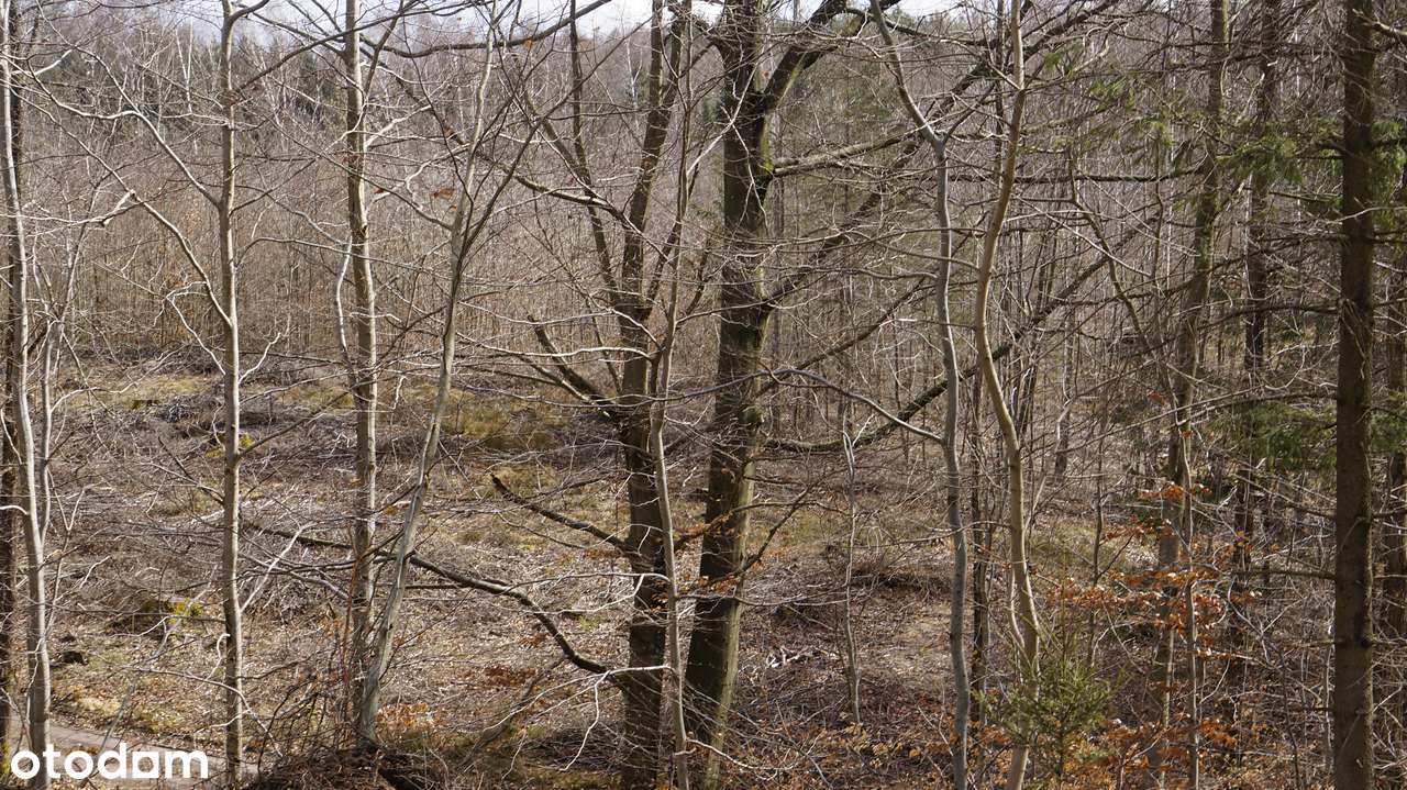 Atrakcyjna działka z pozwoleniem na budowę. - Pełny obrazek: 4/10