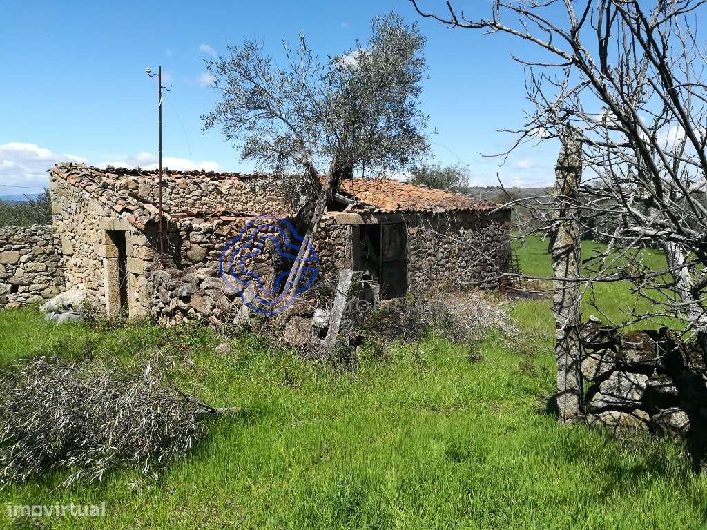 Prédio T6, com quintal em  Oledo para recuperar - Grande imagem: 5/60