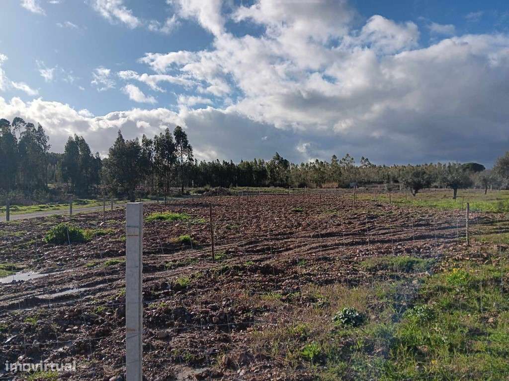 TERRENO COM 37.040 M2 E VIABILIDADE DE CONSTRUÇÃO, PENHASCOSO DE MAÇÃO - Grande imagem: 3/22