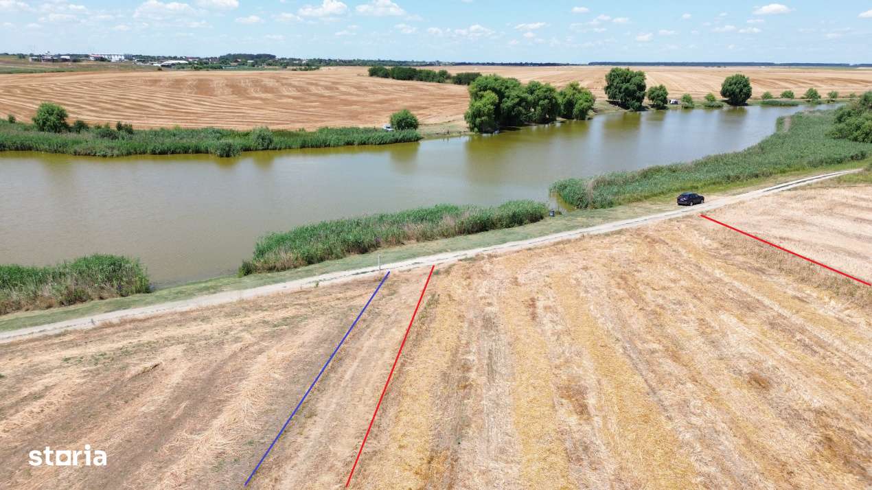 teren la lac Frumusani - Imagine principală: 5/19