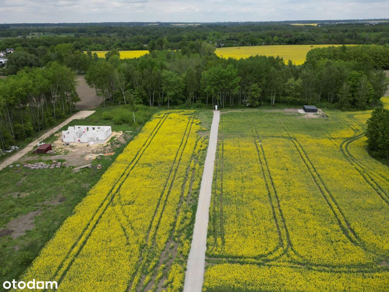 PYSKOWICE Dzierżno działka bud. 852 m2 nr 323/18 las, jezioro, spokój - Pełny obrazek: 5/15