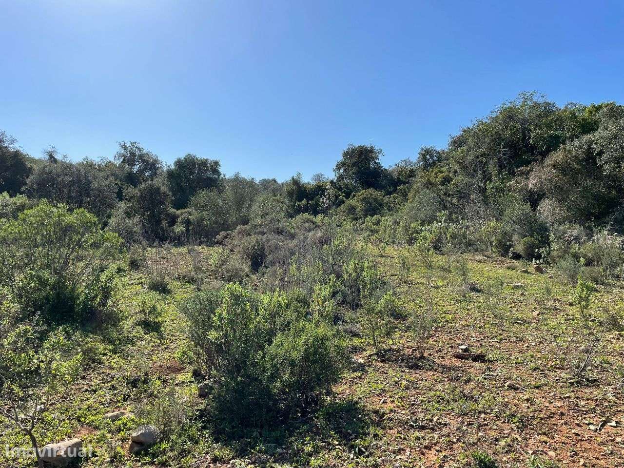 Terreno Rustico No Sitio do Peral - Grande imagem: 5/9