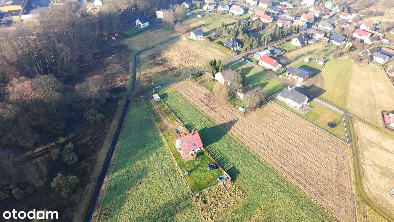 Działka budowlana 30 ar | media w działce | dojazd asfaltowy ! - Pełny obrazek: 4/5