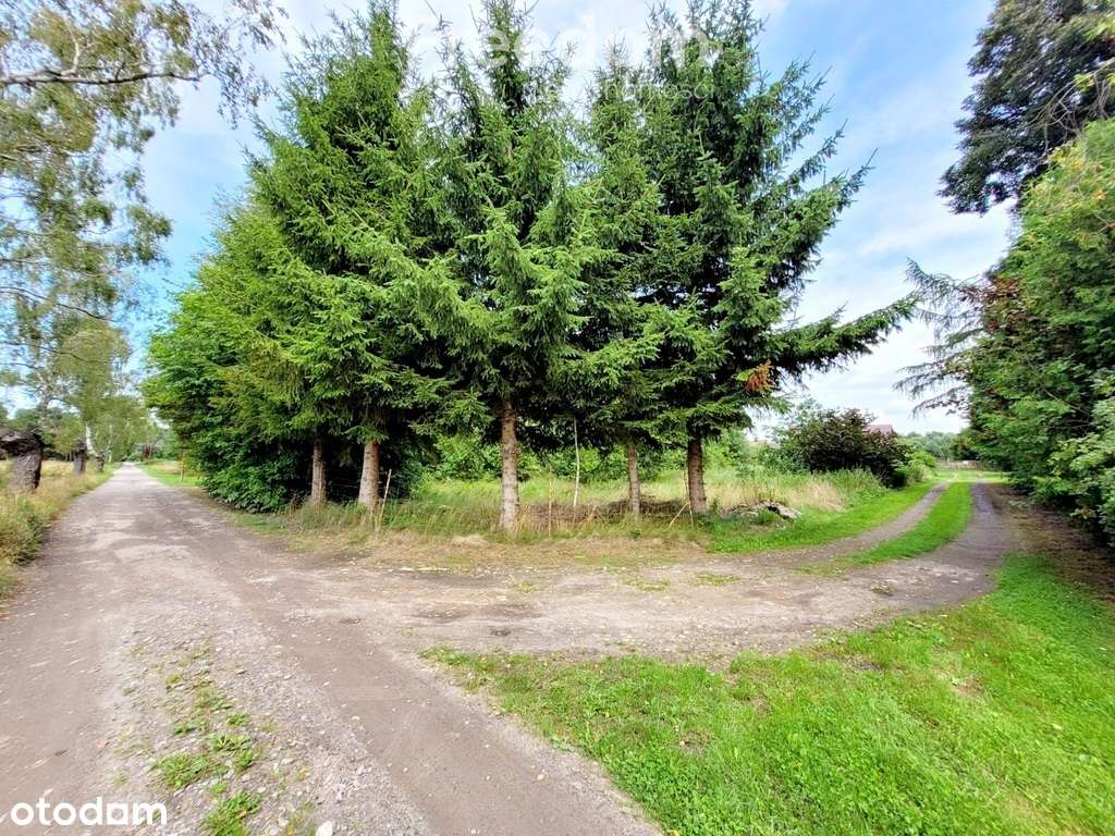 Działka z WZ  w otulinie natury – Kodrąbek 1607m2 - Pełny obrazek: 4/11