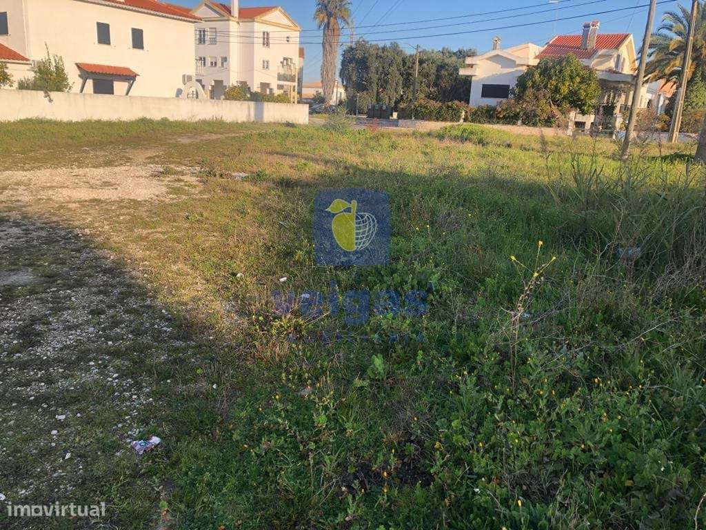 Terreno Santarém - Grande imagem: 4/12