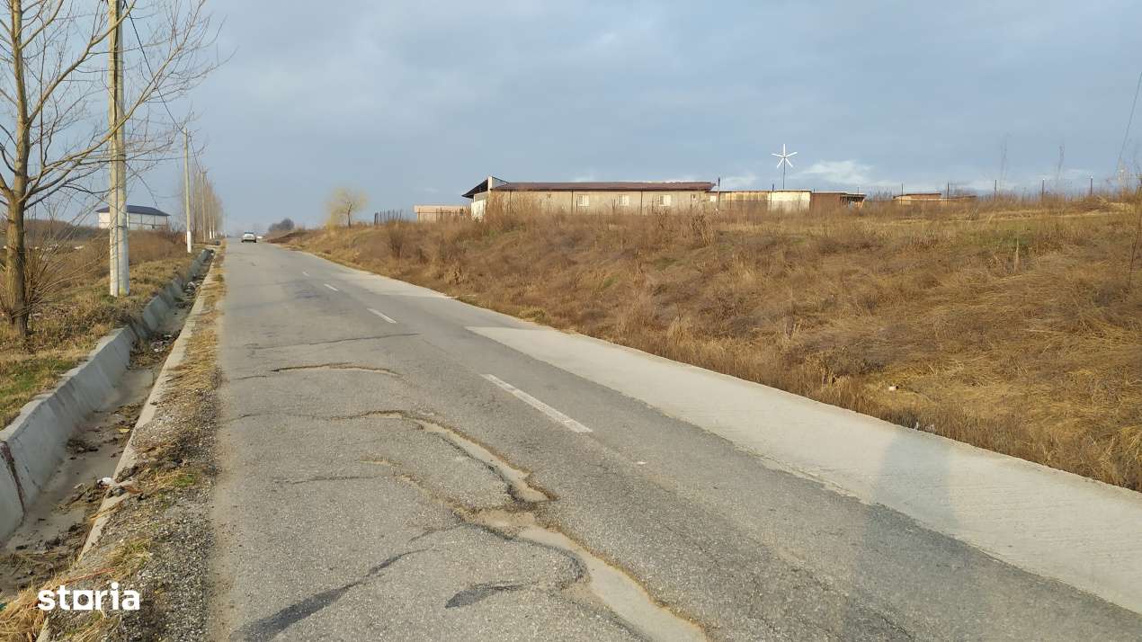 Teren intravilan Pielesti , suprafata 10.000mp deschidere 71,7m - Imagine principală: 3/3