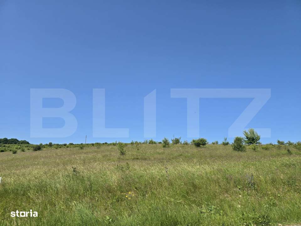 Teren intravilan construibil  in Salicea - Imagine principală: 4/7