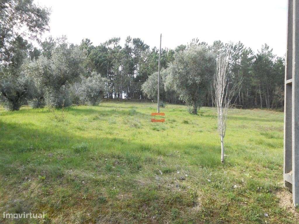 Terreno - Grande imagem: 4/9