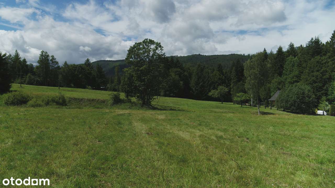 Pięć działek do zabudowy w lesie, o pow 5972m2, a może mniejsza - Pełny obrazek: 4/12