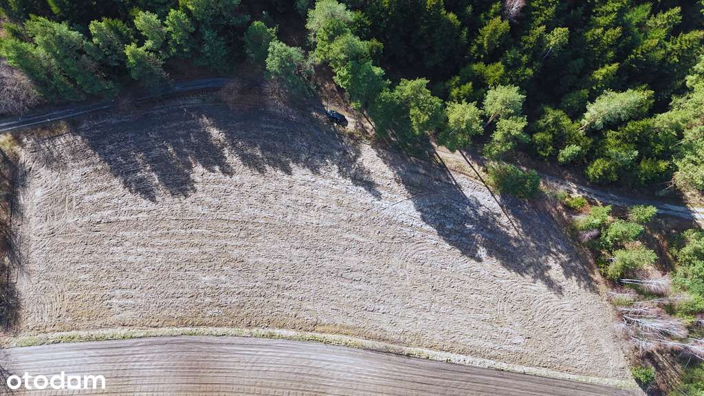 Ucieknij od zgiełku – działki w Róży gm. Susiec - Pełny obrazek: 3/11