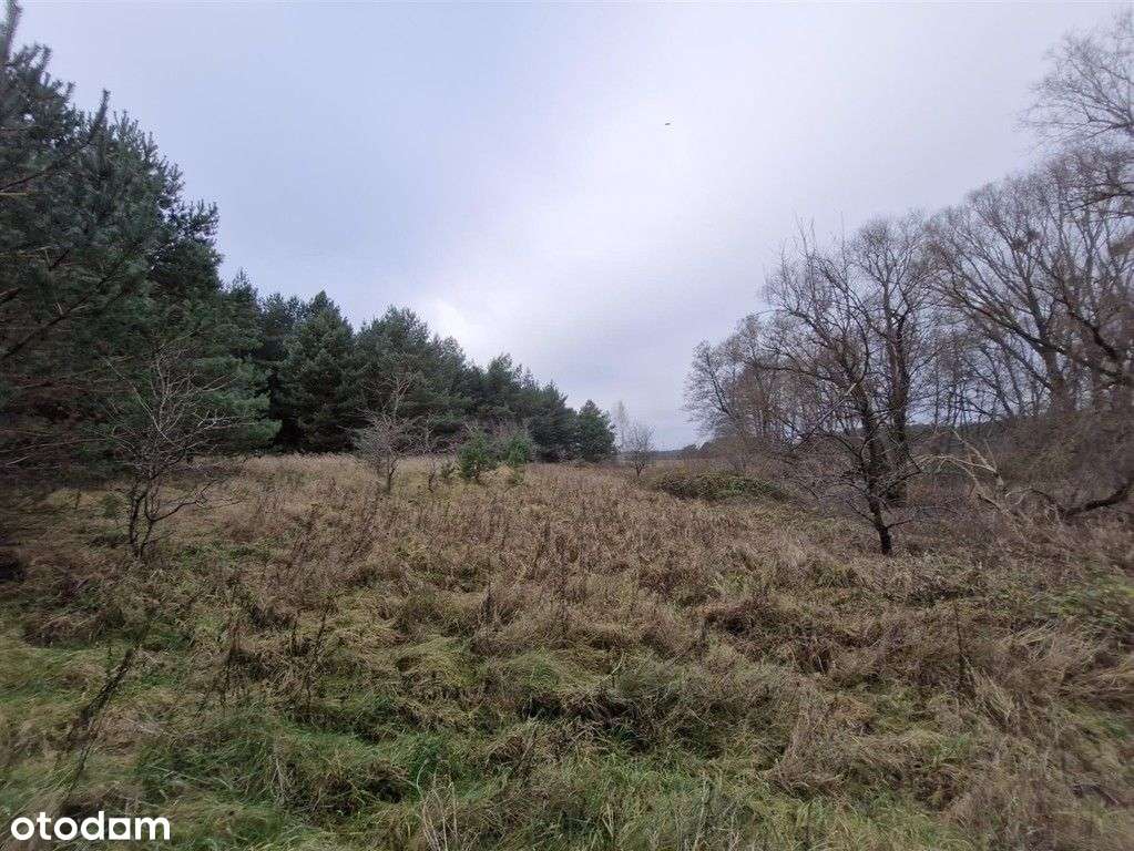 Letniskowa, Mpzp, woda i prąd, 400 M j. Chłop-0