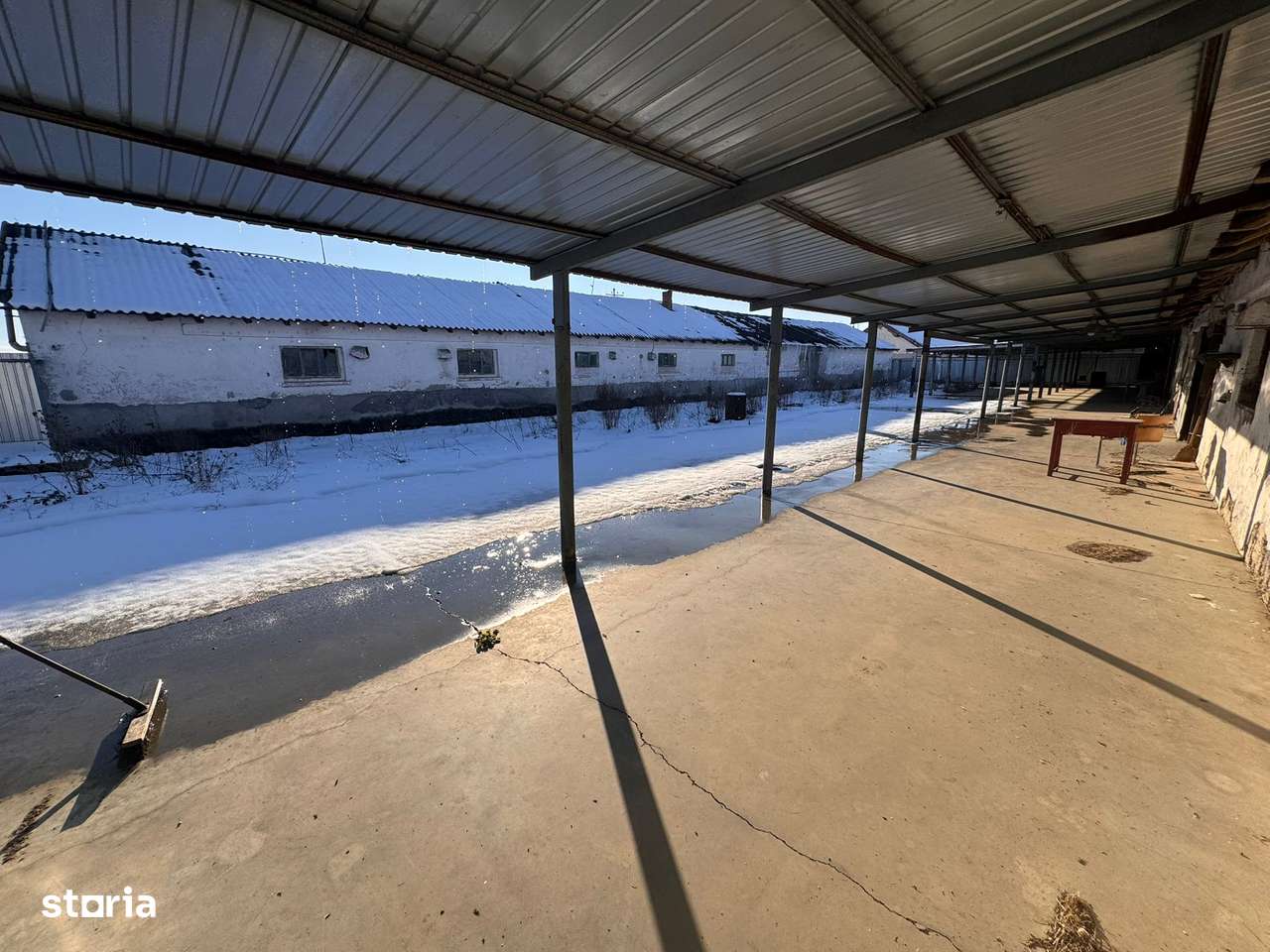 De vanzare Hala / Depozit Satu Mare-5