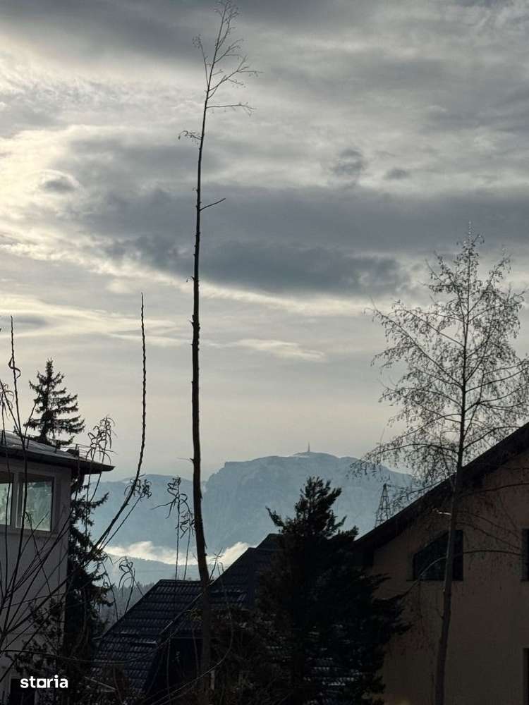 Teren Predeal Cioplea - Imagine principală: 2/5