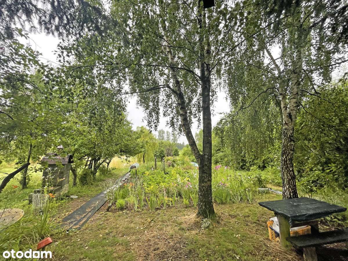 Mieszkanie z dużym ogrodem - Osiedle Przezmark - Pełny obrazek: 5/20