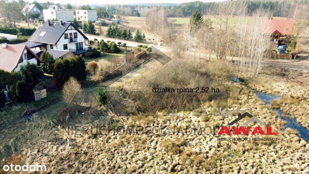 Duża działka rolna w Leśniewie blisko lasu-13