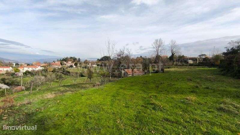 Terreno Rústico / Cinfães, Cinfães - Grande imagem: 2/7