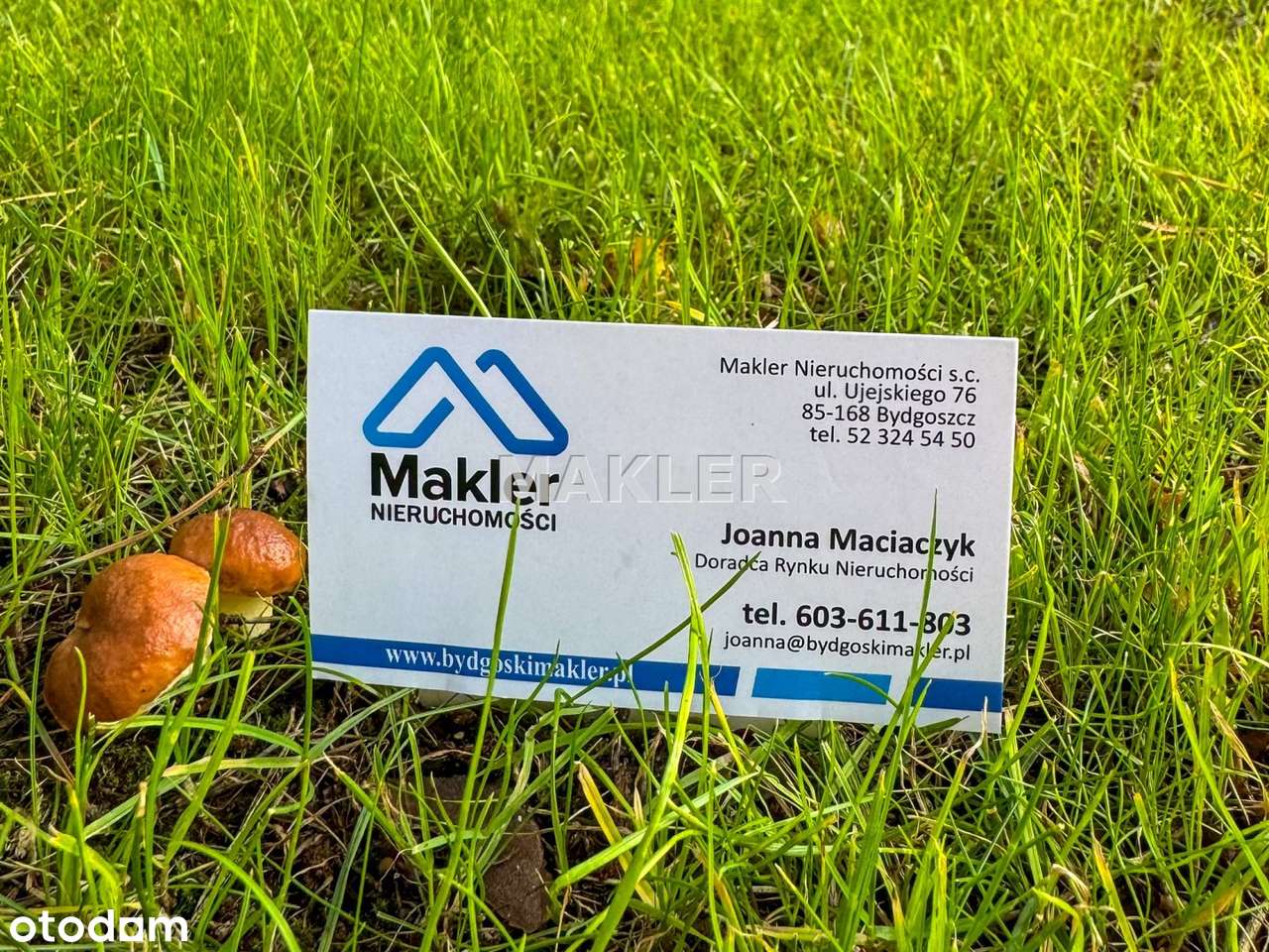 Opławiec - Pełny obrazek: 4/4