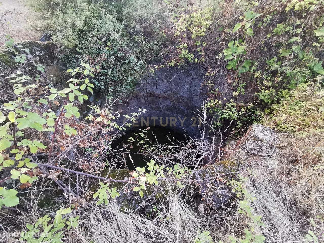 Terreno rústico com construção e poço – Freixial do Campo-11