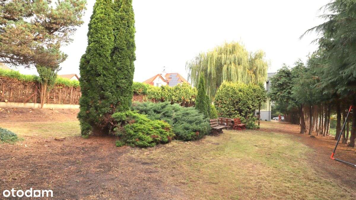 Wolnostojący dom z dużą działką-5