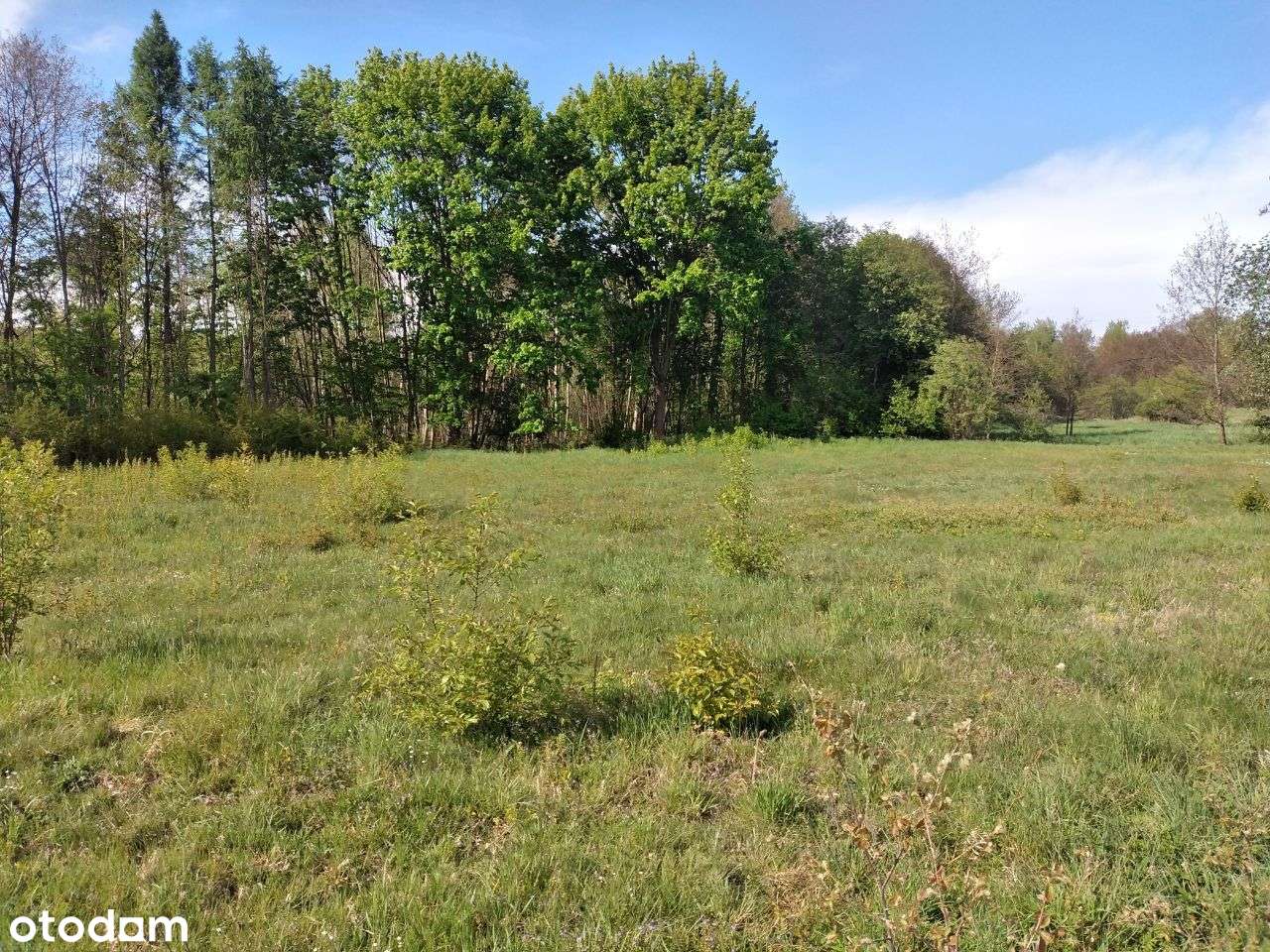 PROMOCJA - Działki budowlane nad jeziorem-11