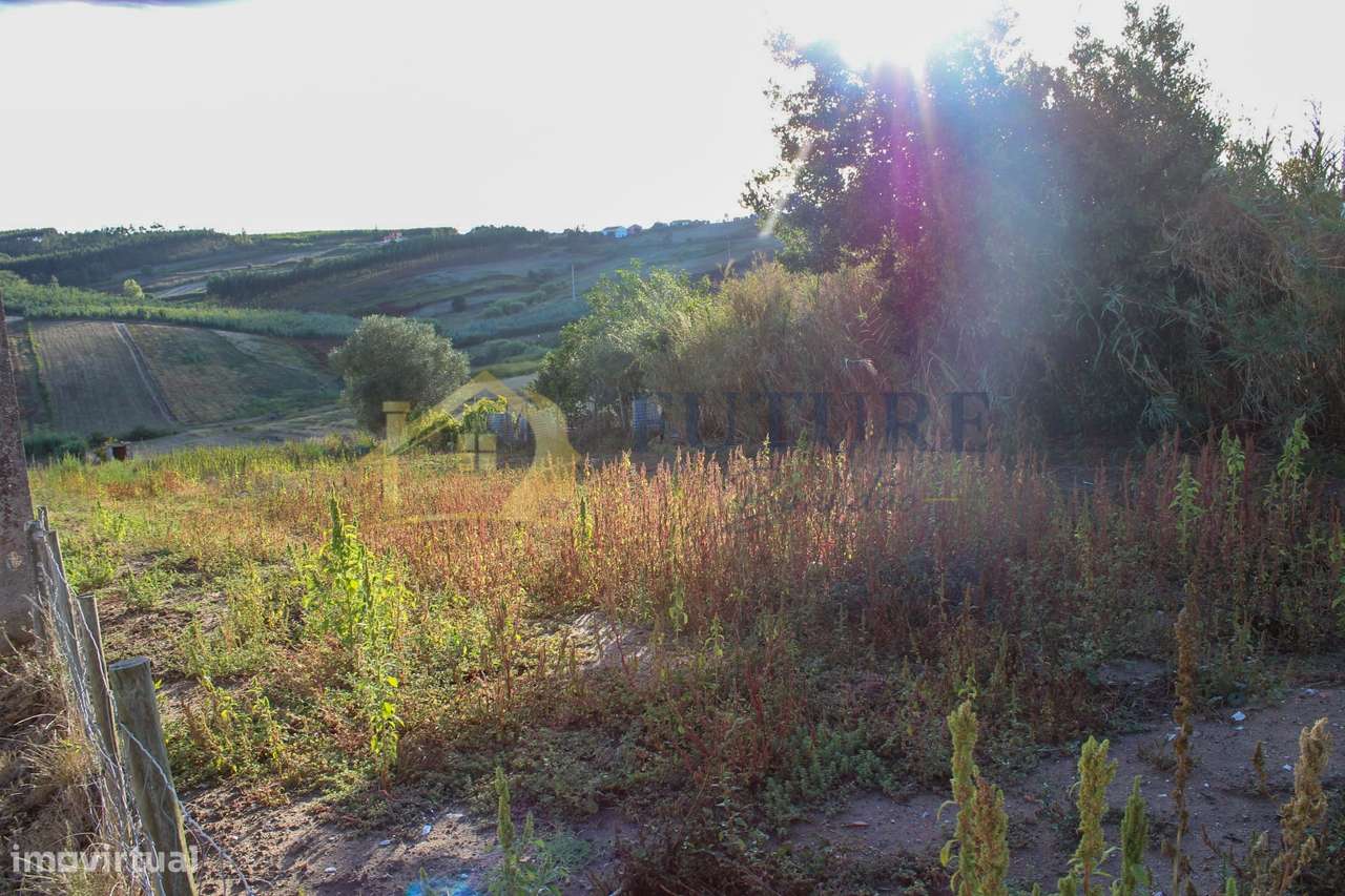 Terreno  Venda em Bombarral e Vale Covo,Bombarral-10