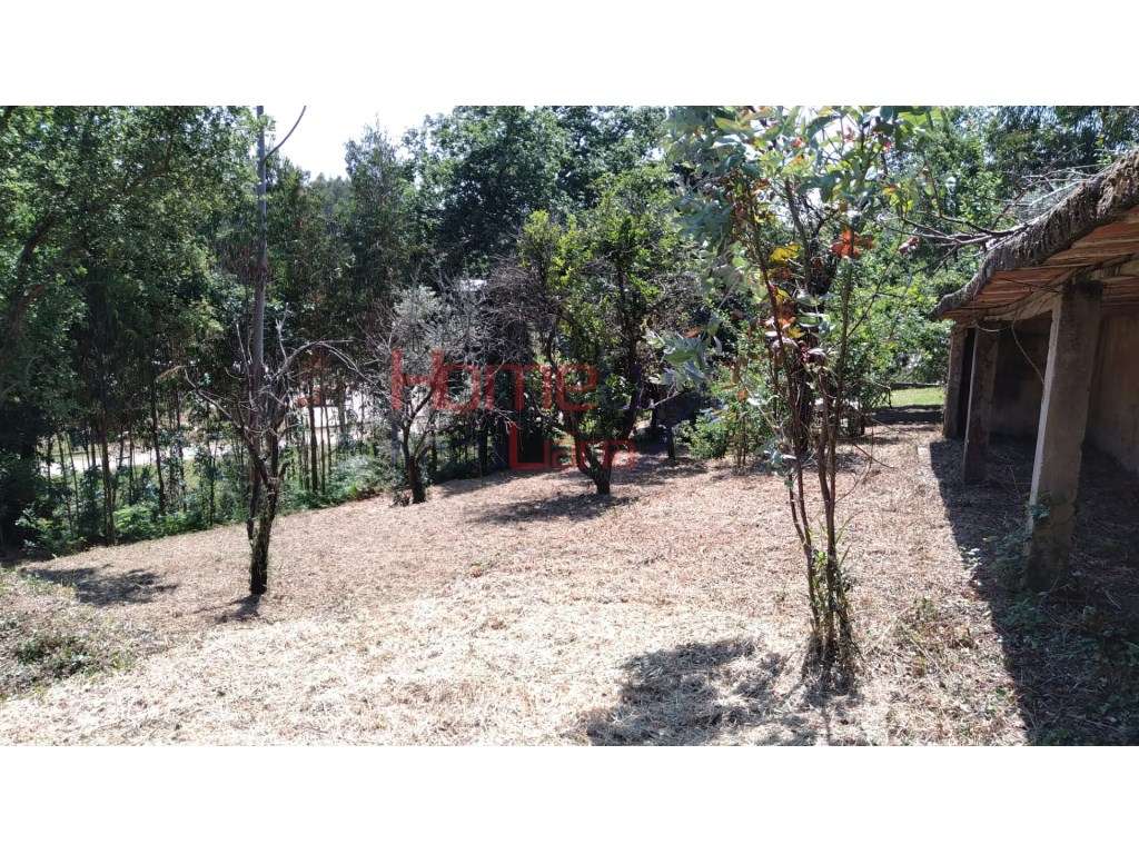 Terreno em Águeda - Grande imagem: 3/7