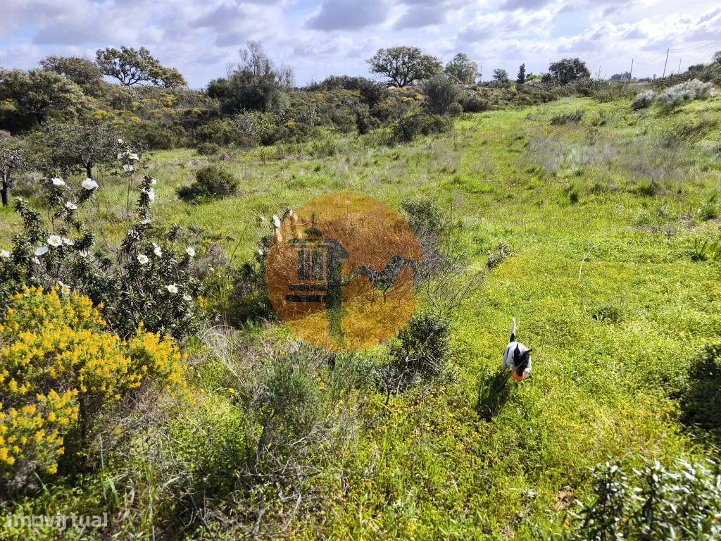 TERRENO RÚSTICO COM 3.4 HECTARES - COM POSSIBILIDADE DE CONSTRUÇÃO ... - Grande imagem: 5/27