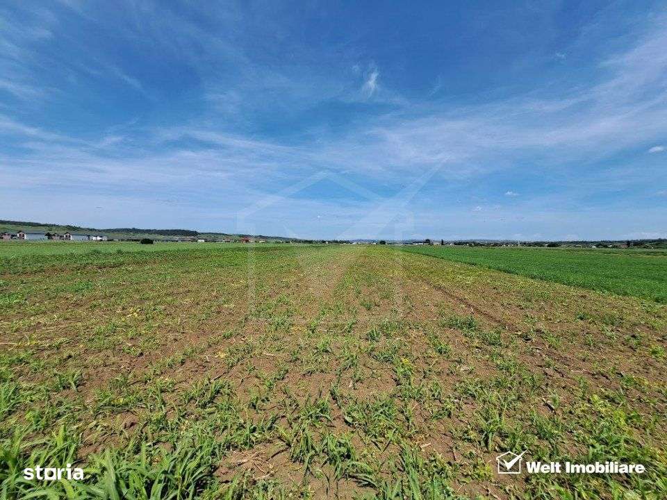 Vanzare Teren Extravilan, Jucu de mijloc, Oportunitare de Investitie - Imagine principală: 2/3