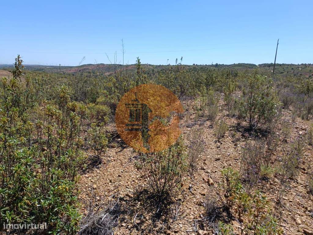 TERRENO COM 34.700 M2 - POSSIBILIDADES DE CONSTRUIR UM ARMAZEM - PR...-5