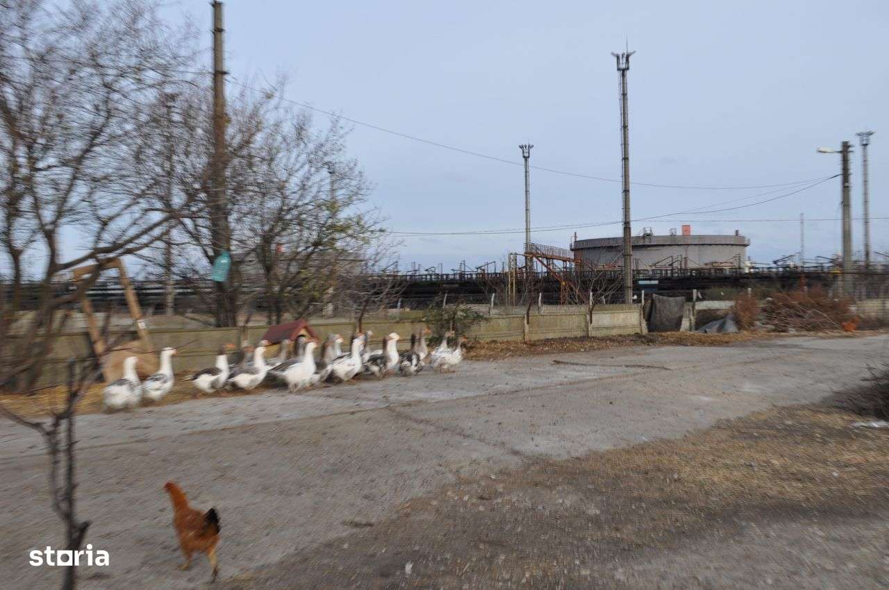 Cet Teren de inchiriat 2400 mp-ideal dezmembrari auto - Imagine principală: 5/10