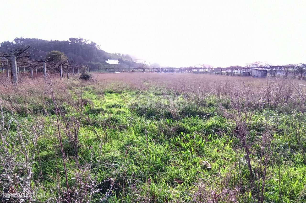 Terreno urbanizável com 5225 m2 em Castelões, V. N. de Famalicão. - Grande imagem: 5/21