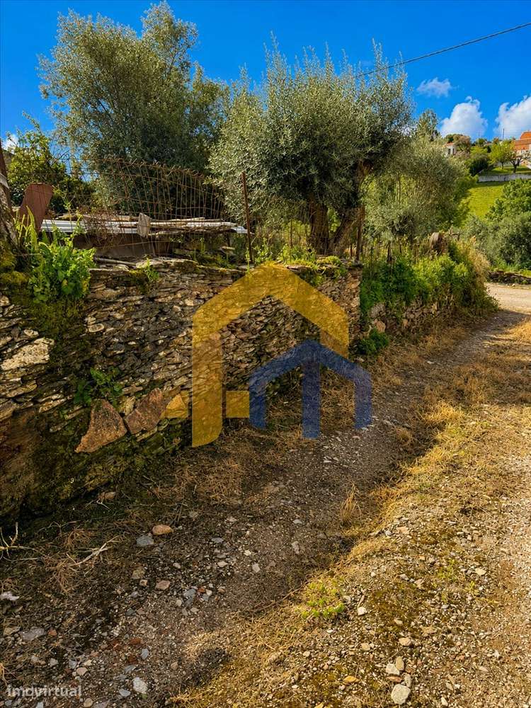 Quintinha para Recuperação Total em Glória – Estremoz-47