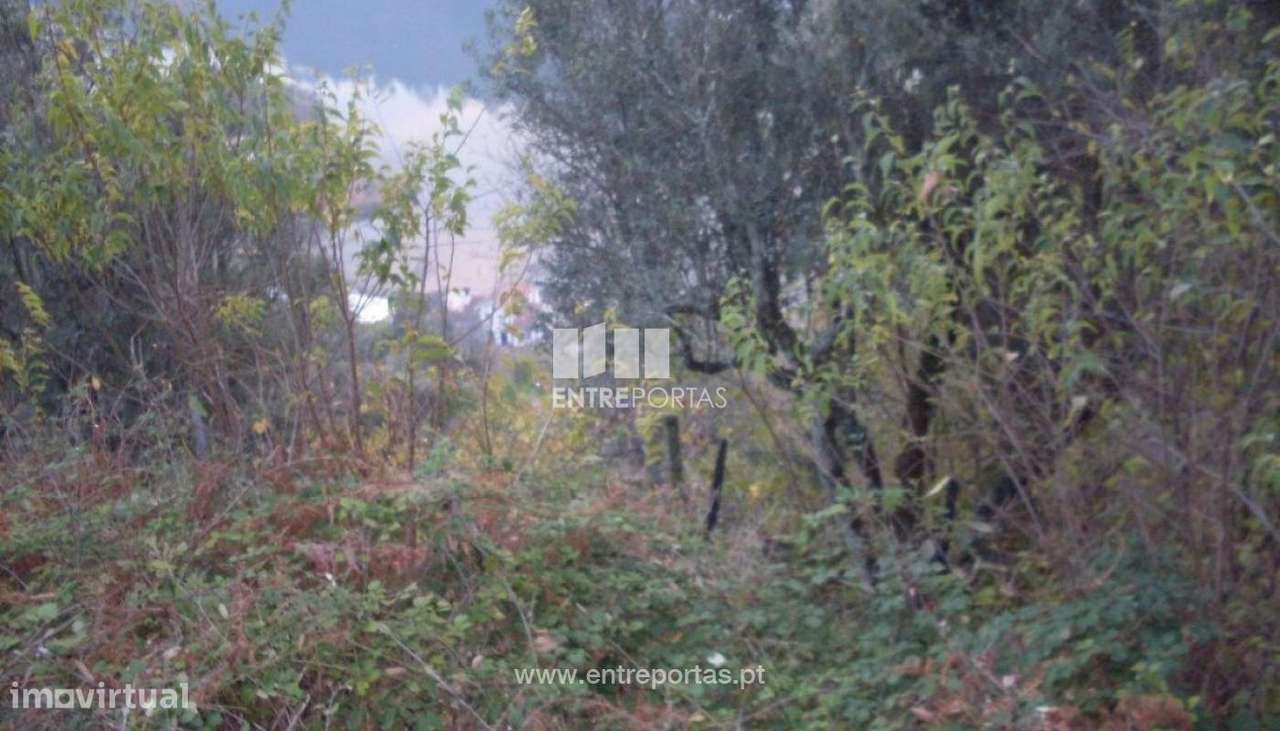 Venda Terreno próximo ao Rio Douro, Santa Marinha do Zêzere, Baião - Grande imagem: 2/10