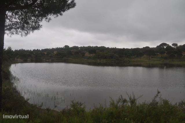 Herdade, para venda, Ponte de Sor - Foros de Arrão-6