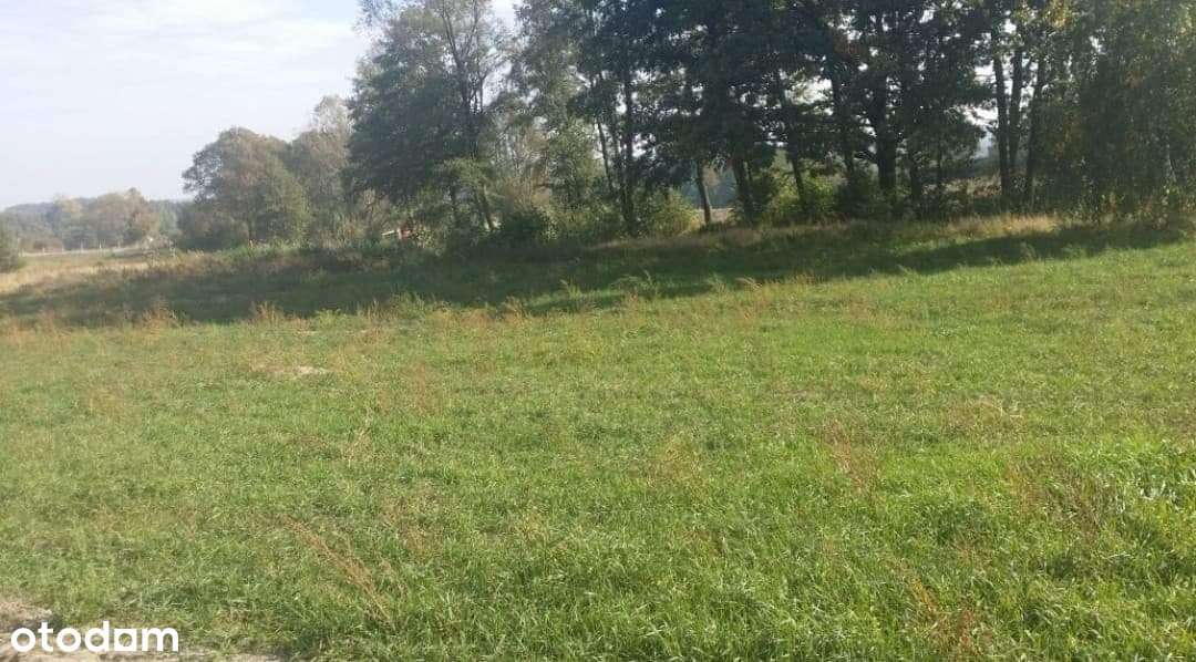 Urokliwa działka w Parzynowie pod Kobyłą Gorą - Pełny obrazek: 5/8